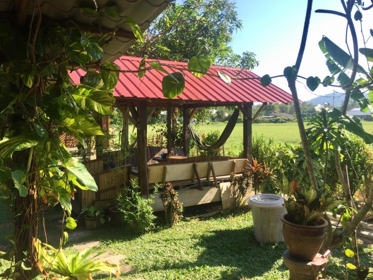 Soluna Guest House Pantai Cenang  Exterior foto